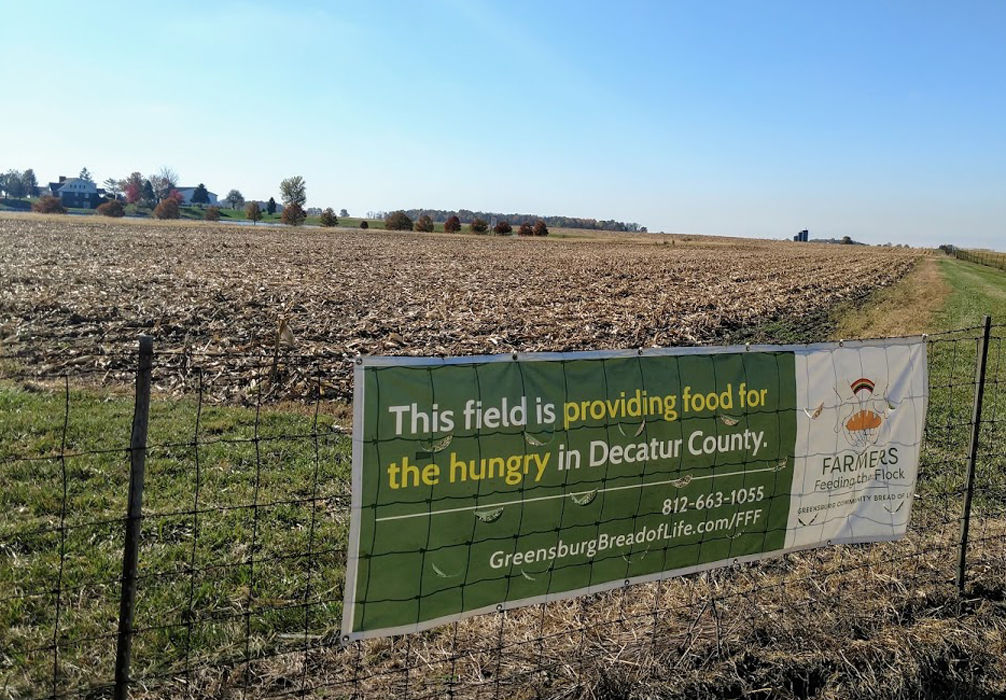 FIELD OF PLENTY